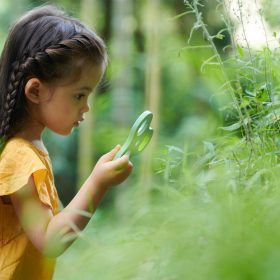 CLASSIC-WORLD-2-in-1-Microscope-Magnifier-for-Children-Exploring-the-Natural-World-3