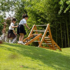CLASSIC-WORLD-EDU-Wooden-Playground-XL-Montessori-Climbing-Ladder-Set-1
