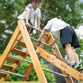 CLASSIC-WORLD-EDU-Wooden-Playground-XL-Montessori-Climbing-Ladder-Set-3