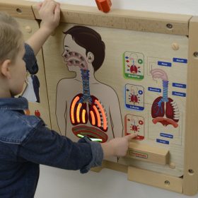 MASTERKIDZ-Montessori-Respiratory-System-Educational-Board-1