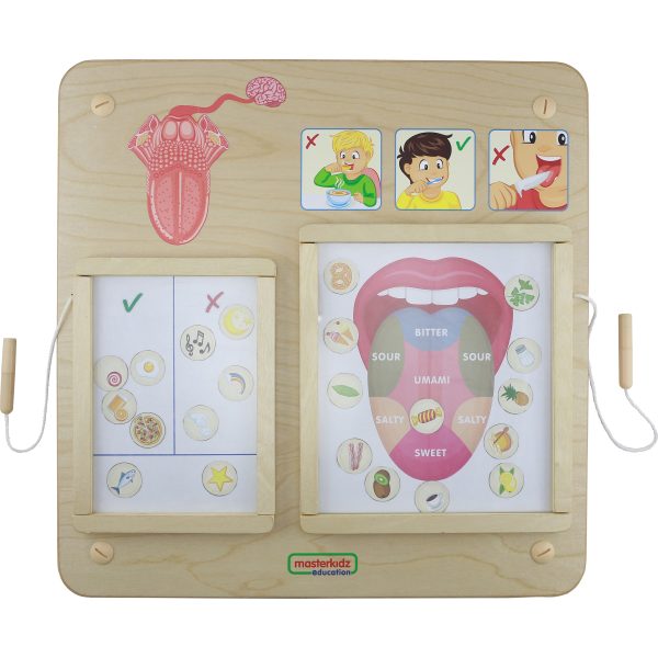 MASTERKIDZ-Montessori-Sense-of-Taste-Educational-Board MASTERKIDZ Montessori Sense of Taste Educational Board