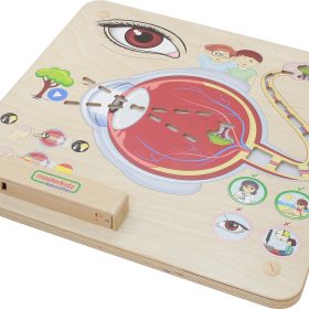 MASTERKIDZ Montessori Visual Sense Educational Board