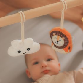 VIGA-PolarB-Baby-Gym-Infant-Stand-2
