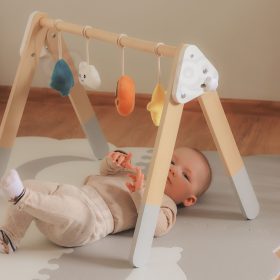 VIGA-PolarB-Baby-Gym-Infant-Stand-3