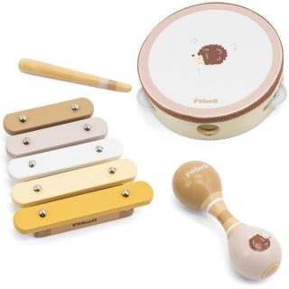 VIGA PolarB Musical Instrument Set with Hedgehog