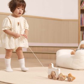 VIGA-PolarB-Wooden-Pulling-Hen-with-Chicks-1