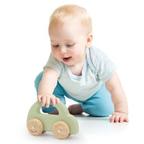 VIGA-PolarB-Wooden-Push-Car-Green-1