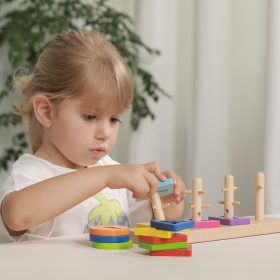 VIGA-Wooden-Montessori-Shape-Sorter-Blocks-2