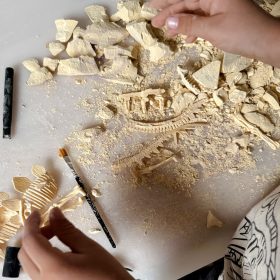 WOOPIE-Creative-Toy-Dinosaur-Skeleton-Archaeological-Excavation-3