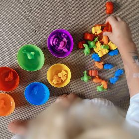 WOOPIE-Montessori-Educational-Game-Color-Sorter-Animals-44-pcs-2